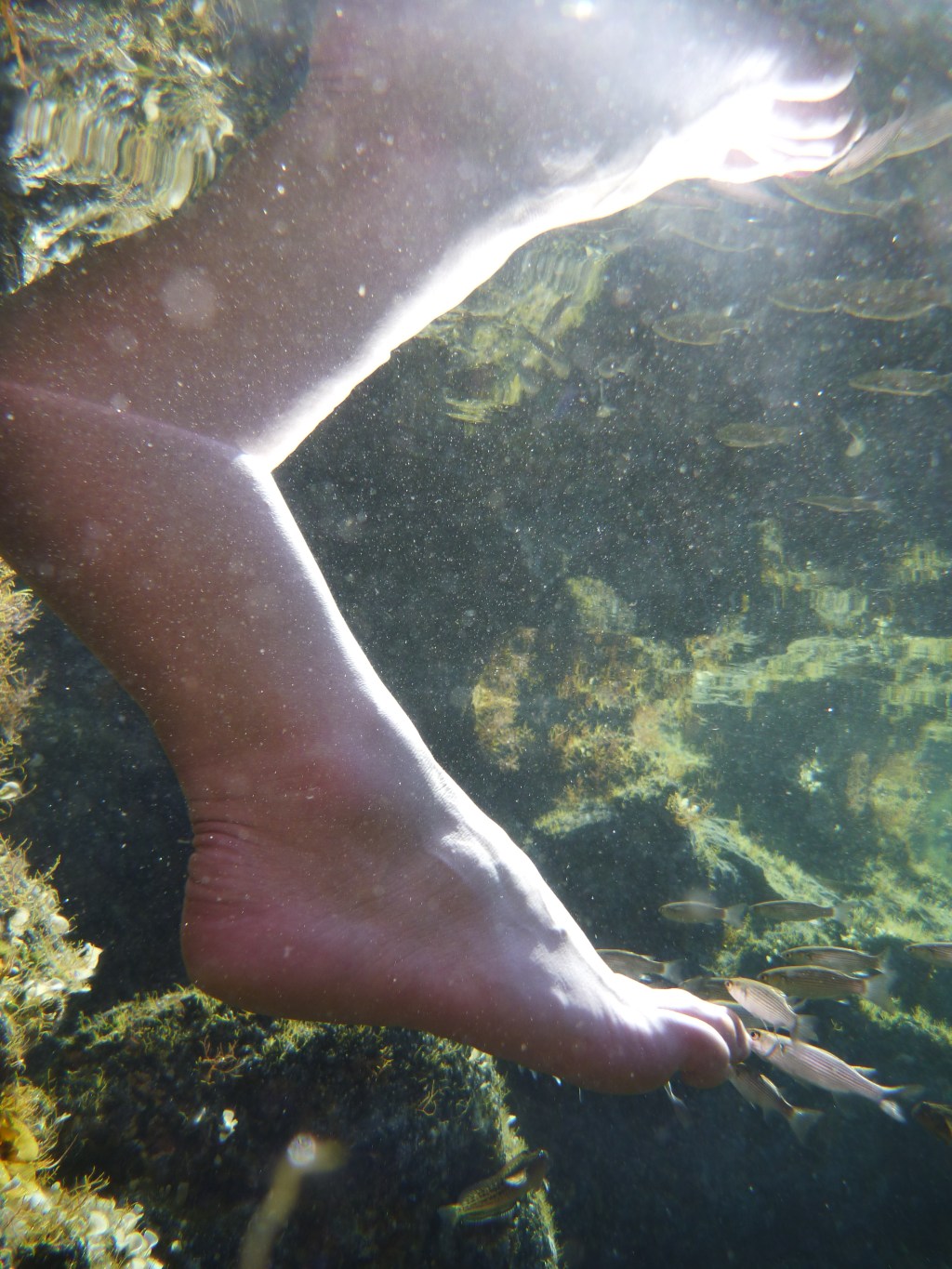 Aus der Ferne / Sommer der&nbsp;Ernüchterung