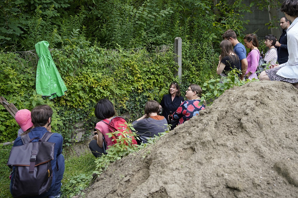 nixe als verbündete