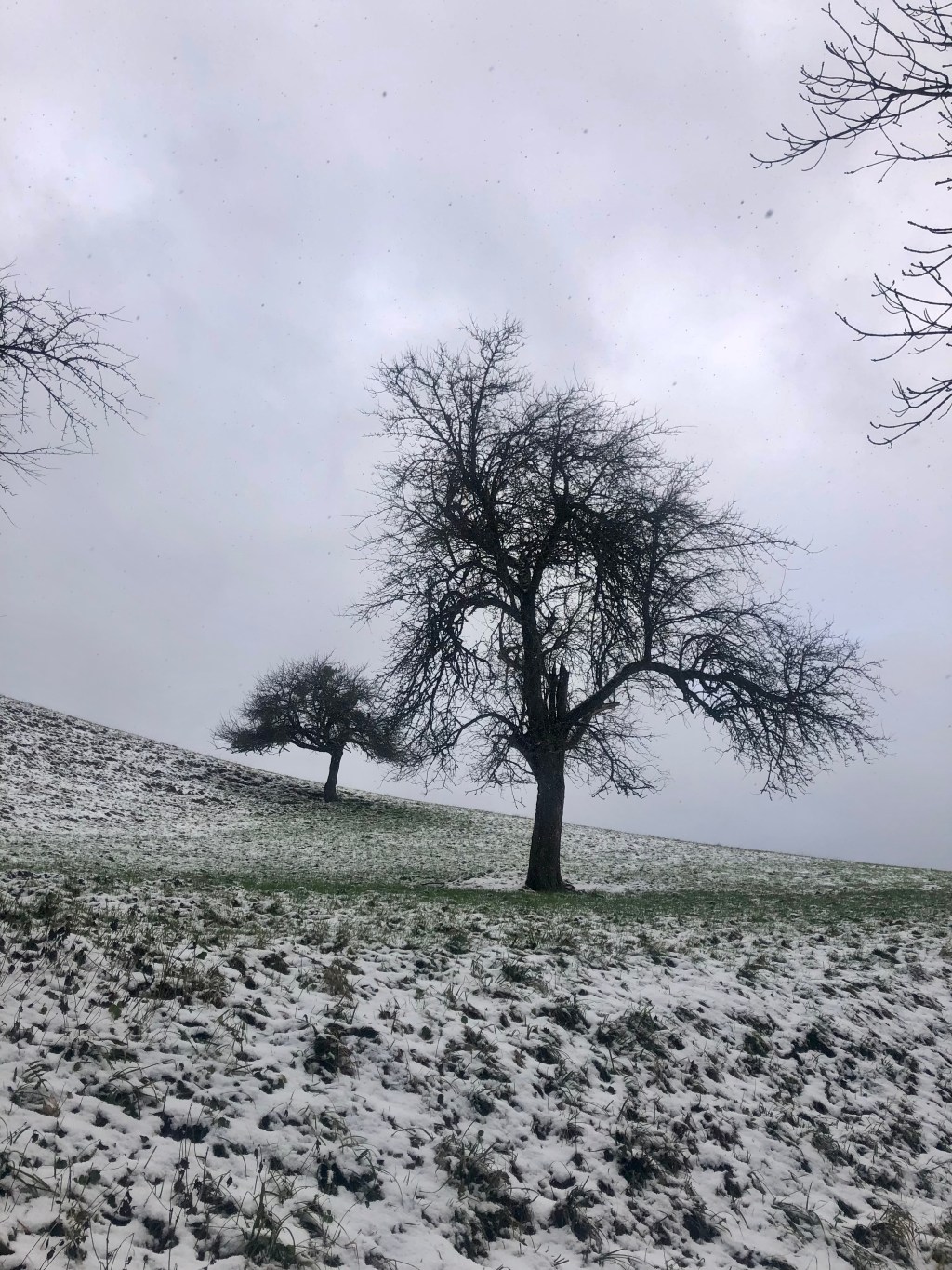 zweitausendfünfundzwanzig